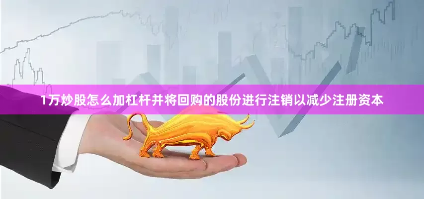 1万炒股怎么加杠杆并将回购的股份进行注销以减少注册资本