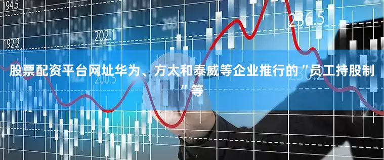 股票配资平台网址华为、方太和泰威等企业推行的“员工持股制”等